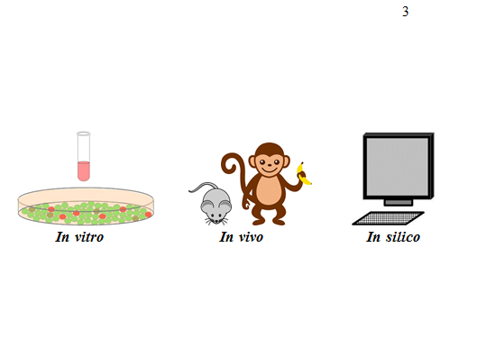 Risultati immagini per test in vivo in silico in vitro